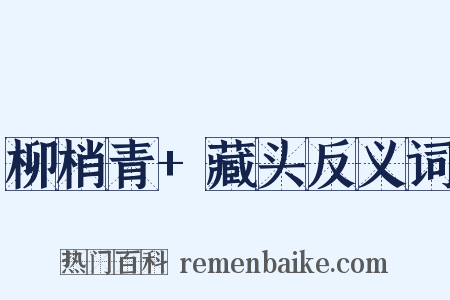 柳梢青+藏头反义词是什么意思的图片